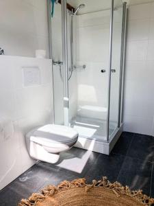 ein Bad mit einem WC und einer Glasdusche in der Unterkunft Ferienwohnungen Alte Destillerie in Neuwied