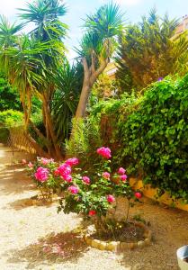 Fotografia z galérie ubytovania Chez Jenny v destinácii Perpignan