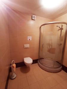 uma casa de banho com um chuveiro e um WC. em Apartmenthaus Viktoria em Šegotići