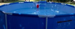 a large blue pool of water in a park at Új Lilla Apartman in Keszthely