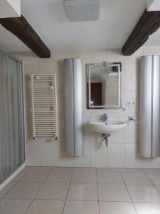 een badkamer met een wastafel en een spiegel bij FeWo Lina in Waren