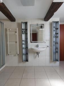 een badkamer met een wastafel en een spiegel bij FeWo Lina in Waren