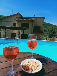 拉達因基安蒂的住宿－Casa Serena, Radda in Chianti, località Lucarelli.，两杯葡萄酒和一碗桌上的食物