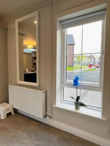 Imagen de la galería de Gems in Ratoath, en Ratoath