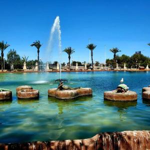 Fotografie z fotogalerie ubytování El Encanto Apartment v destinaci Torrevieja