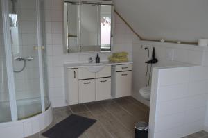 a bathroom with a sink and a shower and a toilet at Gemütlich in St. Margarethen in Sankt Margarethen