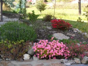 a garden with pink flowers in a yard at Casetta dei Lupi in Miazzina