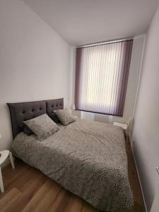 a bedroom with a large bed and a window at Joli T2 en plein centre-ville de Lyon in Lyon +4 photos