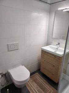 a bathroom with a toilet and a sink and a mirror at Appartement dans le 7e arrondissement de Lyon. in Lyon