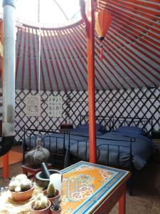 Habitación con cama y mesa con cactus. en T'eiberveld Yurt verhuur Noord-Sleen en Noord-Sleen