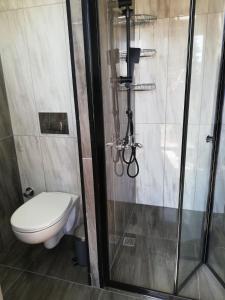 a bathroom with a toilet and a shower at T'eiberveld Yurt verhuur Noord-Sleen in Noord-Sleen
