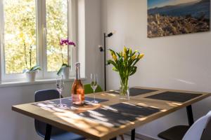 Fotografie z fotogalerie ubytování Apartments Sara v destinaci Milohnići