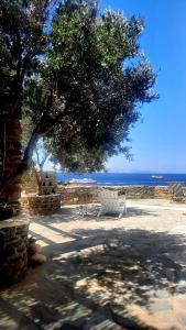 a tree and two white chairs sitting under a tree at Aegean living Villa in Agios Romanos