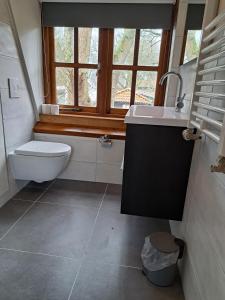 een badkamer met een wastafel, een toilet en een raam bij Onder de Boomen in Bergen