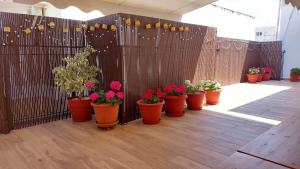 a row of potted plants inront of a fence at Central Apartment Near The beach with huge private terrace in Loutraki