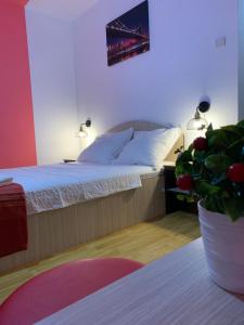 - une chambre avec un lit et une plante en pot dans l'établissement Casa Neamtu, à Băile Herculane