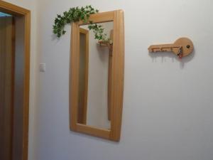 a mirror hanging on a wall with a plant at City-Apartment Lüdenscheid in Lüdenscheid