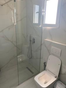 ein weißes Badezimmer mit Dusche und Toilette in der Unterkunft Vila Avni Likometi in Ksamil