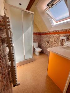 uma casa de banho com um chuveiro e um WC com uma clarabóia em La ferme du paradis em Merris