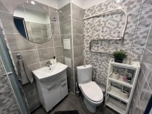 bagno con servizi igienici, lavandino e specchio di RONY apartment a Liepāja