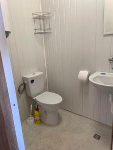 a bathroom with a toilet and a sink at Delightful Beach & Forest Caravan in Chernomorets