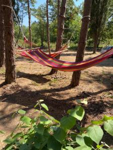 a hammock hanging between trees in a park at Delightful Beach & Forest Caravan in Chernomorets