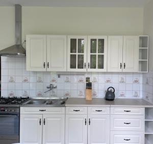 una cocina blanca con armarios blancos y fregadero en Zabielne 9, en Gehlenburg