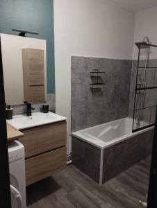 a bathroom with a tub and a sink and a bath tub at Appartement Foch in Le Puy en Velay