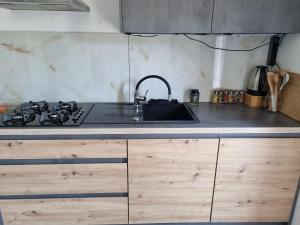 A kitchen or kitchenette at Petfriendly&Familys