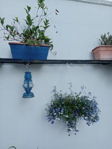 A garden outside A casa di Gio