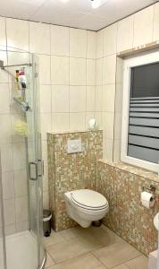 uma casa de banho com um WC e uma cabina de duche em vidro. em Ferienhaus am Netzener See em Lehnin