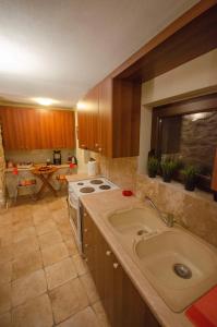 a kitchen with a sink and a stove at Villa Malevi Dimitsana in Dimitsana