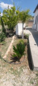 Zahrada ubytování Casa vacanze Abbacari