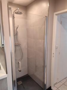 a shower with a glass door in a bathroom at Le Clos du Château in Rully