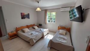 a room with two beds and a flat screen tv at Emilios Eleni studios in Nydri