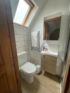 a bathroom with a toilet and a sink and a mirror at Wind Rose Rooms in Ballycastle