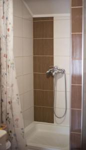 een douche in een badkamer met een douchegordijn bij Kuća - Na Granici in Ilok