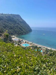 a view of the beach and the ocean from a hill at Villa la Dimora di Zoè in Ischia
