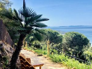 a bench sitting on a hill next to a palm tree at Villa El Buzo in Zahara de los Atunes