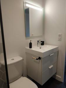 Vonios kambarys apgyvendinimo įstaigoje Ginkobiloba : Appartement cosy en cœur de ville