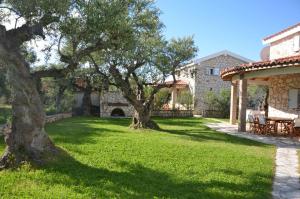 a green yard with a tree and a house at L'Olivetta in Lithakia