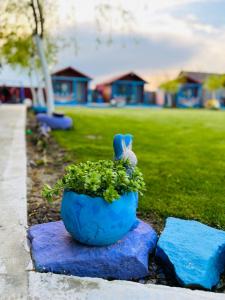 un planteur bleu avec un lapin assis sur une plante dans l'établissement Pensiunea Alessia Murighiol, à Murighiol