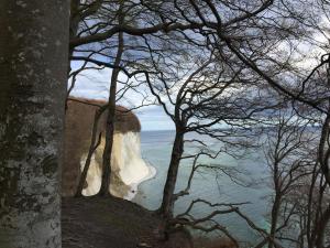 a painting of a view of the niagara cliffs through trees at Meerzauber in Altenkirchen