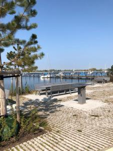 a bench next to a pier with a marina at derankerplatz-fehmarn in Burgtiefe auf Fehmarn 