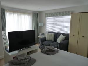 a living room with a television and a couch at Gwyndaf Bed And Breakfast in Beaumaris