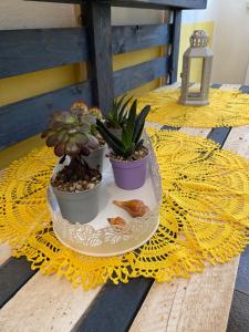 Fotografie z fotogalerie ubytování Alabe Hotel Marina di Tresnuraghes v destinaci Porto Alabe + 53 fotografií