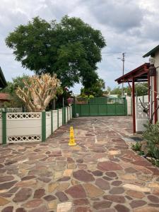 Ein gelber Kegel sitzt auf einer Steinterrasse in der Unterkunft Ramblers Self Catering Accommodation in Windhoek