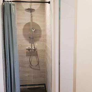 a shower with a shower head in a bathroom at studio avec terrasse au calme in Jayat