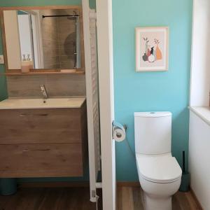 a bathroom with a toilet and a sink and a mirror at studio avec terrasse au calme in Jayat