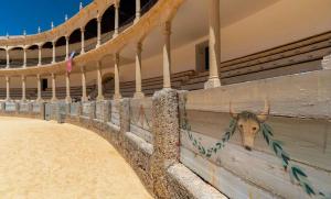 Fotografia z galérie ubytovania Apartamento Balcón del Tajo v destinácii Ronda